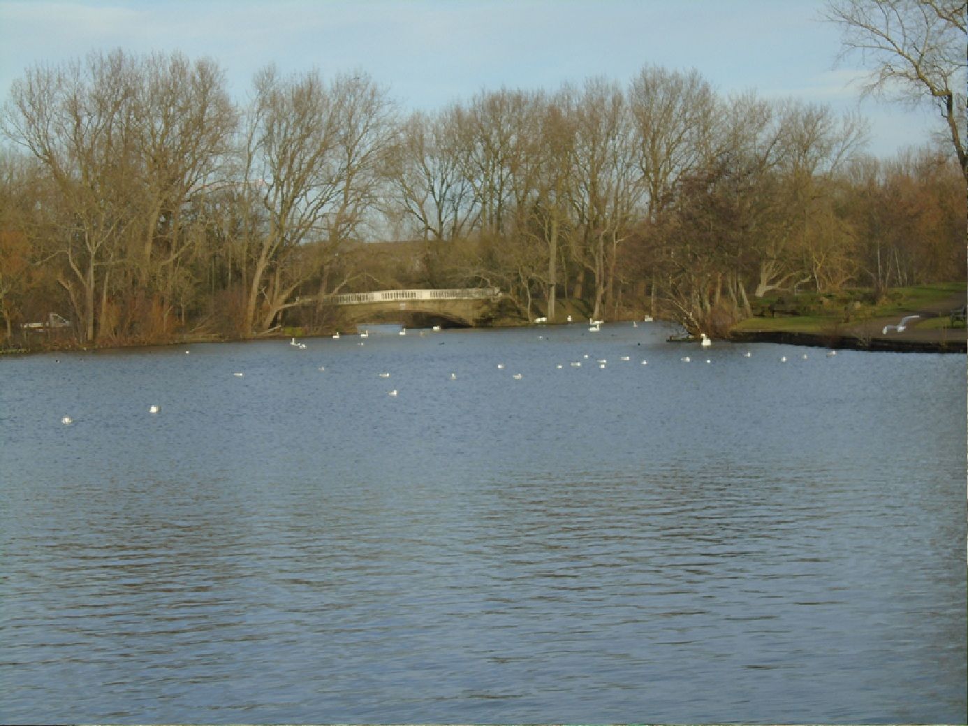 Stan Lake